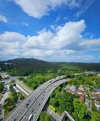 Bukit Timah Plaza / Sherwood Towers (D21), Apartment #469773941